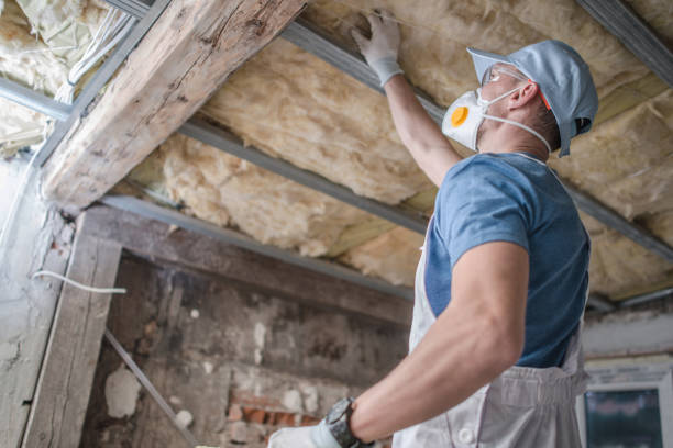 Best Specialized Insulation Services in Stratford, WI